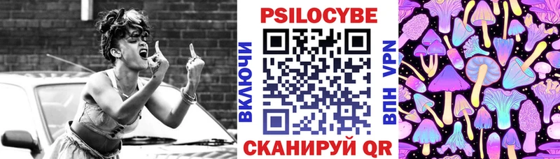 Купить закладки  Ачхой-Мартан  Псилоцибиновые грибы Magic Shrooms 